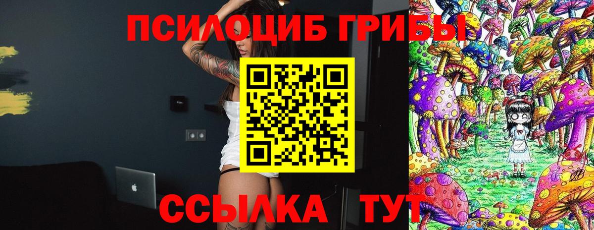 Берёзовский  сколько стоит  Галлюциногенные грибы Cubensis  Вход с VPN  Галлюциногенные грибы Psilocybe 